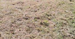 Gradjevinski Plac Drapšin