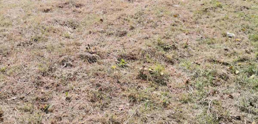 Gradjevinski Plac Drapšin