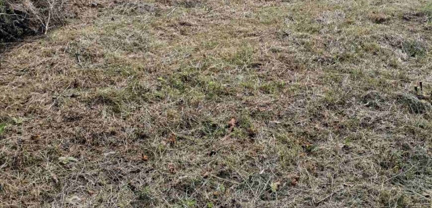 Gradjevinski Plac Drapšin