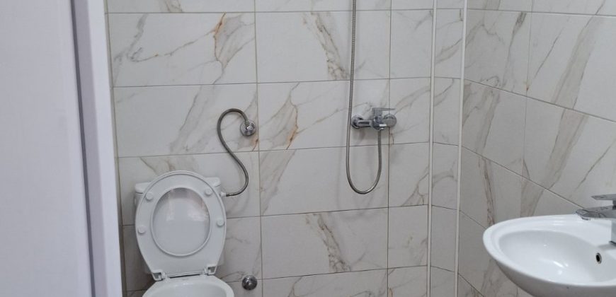 Izdaje se kuća  Selters banja, Mladenovac