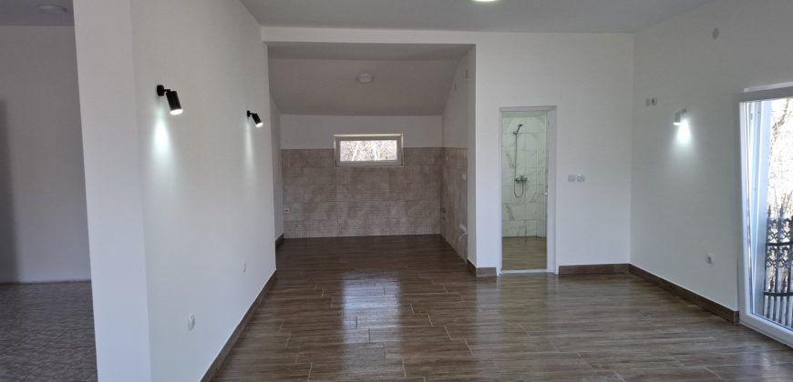 Izdaje se kuća  Selters banja, Mladenovac