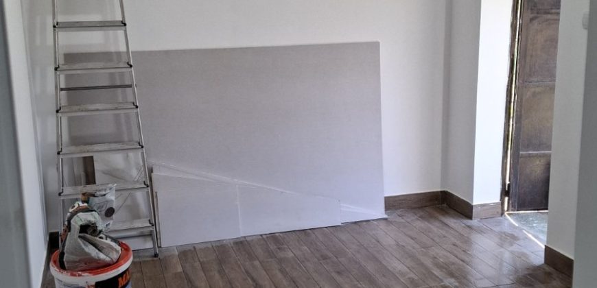 Izdaje se kuća  Selters banja, Mladenovac