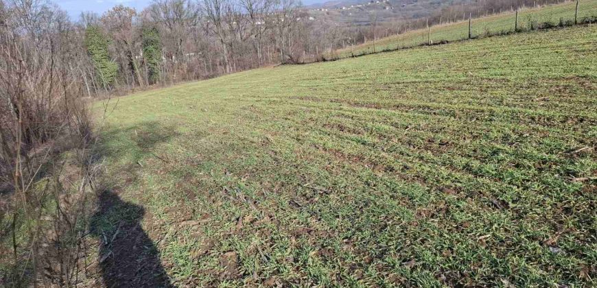 Gradjevinsko zemljište Mala Ivanča,Sopot