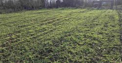 Gradjevinsko zemljište Mala Ivanča,Sopot