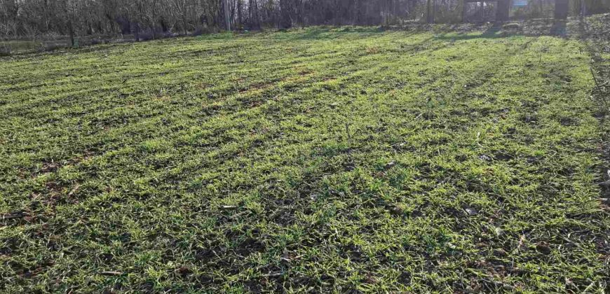 Gradjevinsko zemljište Mala Ivanča,Sopot