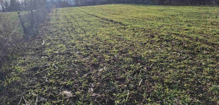 Gradjevinsko zemljište Mala Ivanča,Sopot