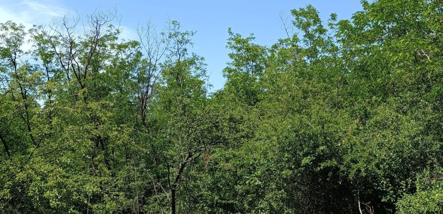 Plac na Kosmaju 33Ara