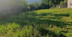 Kuća na prodaju Vlaška, 96,77 m2 na 13ari