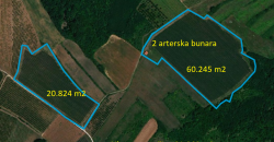 Voćnjak Jabuke Dubona Malo Orašje
