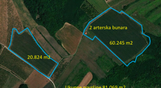 Voćnjak Jabuke Dubona Malo Orašje
