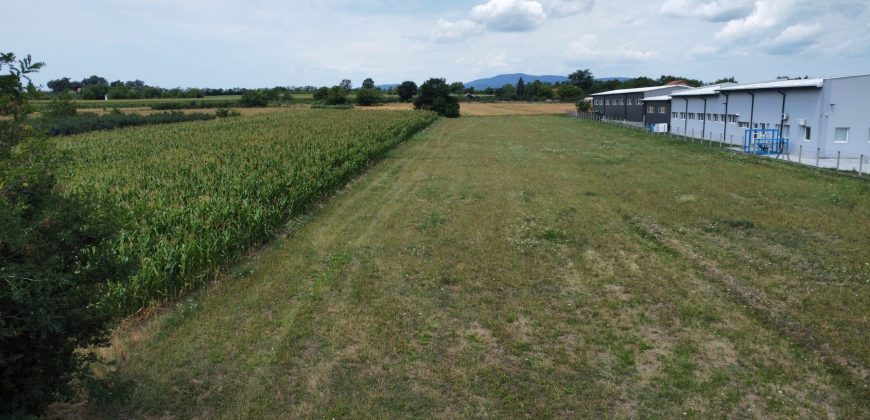 Gradjevinski plac *nova industrijska * zona 50ari