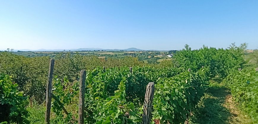 Gradjevinsko zemljište Koraćica Voćnjak 129 Ari