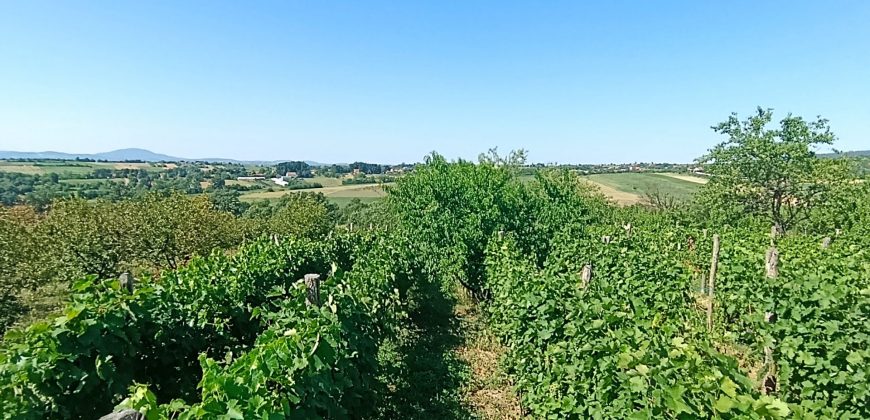 Gradjevinsko zemljište Koraćica Voćnjak 129 Ari