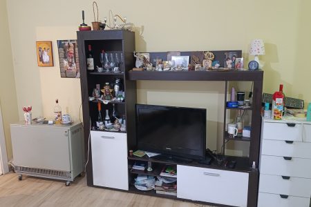 Dnevna soba u stanu u Mladenovcu