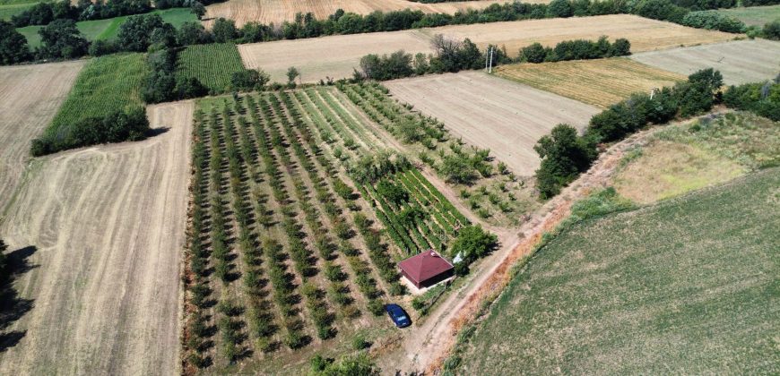 Gradjevinsko zemljište Koraćica Voćnjak 129 Ari