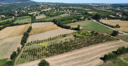Gradjevinsko zemljište Koraćica Voćnjak 129 Ari