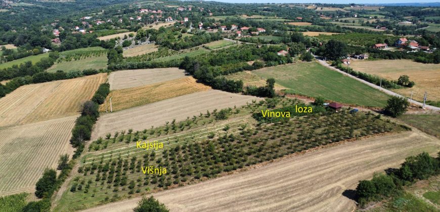 Gradjevinsko zemljište Koraćica Voćnjak 129 Ari