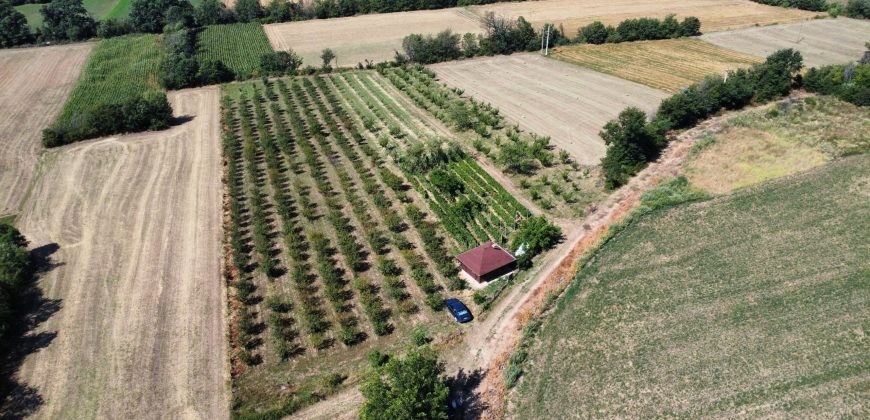 Gradjevinsko zemljište Koraćica Voćnjak 129 Ari