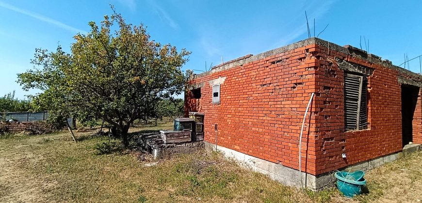 Kovačevac kuća sa vočnjakom Kajsije 72ara placa