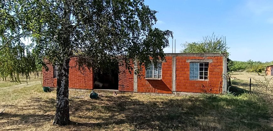 Kovačevac kuća sa vočnjakom Kajsije 72ara placa