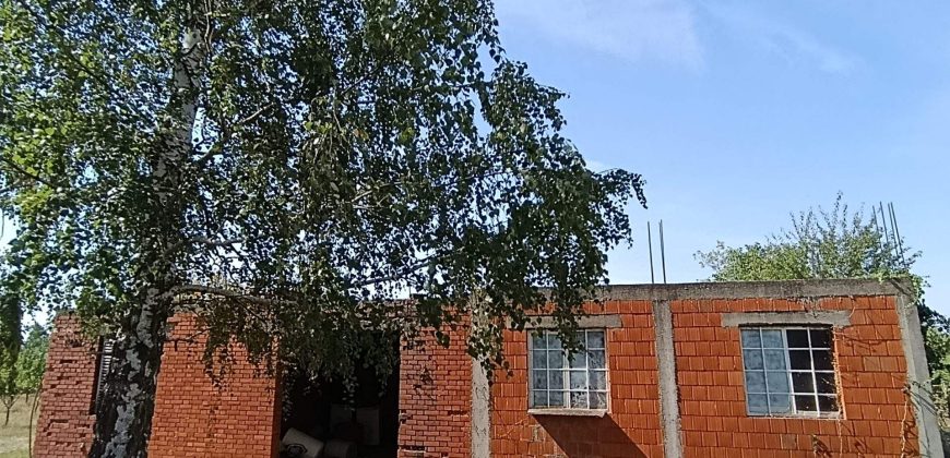 Kovačevac kuća sa vočnjakom Kajsije 72ara placa