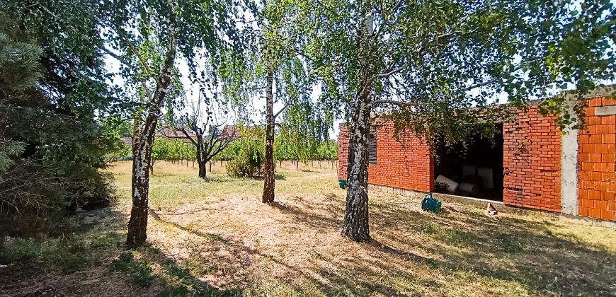 Kovačevac kuća sa vočnjakom Kajsije 72ara placa