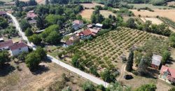 Kovačevac kuća sa vočnjakom Kajsije 72ara placa