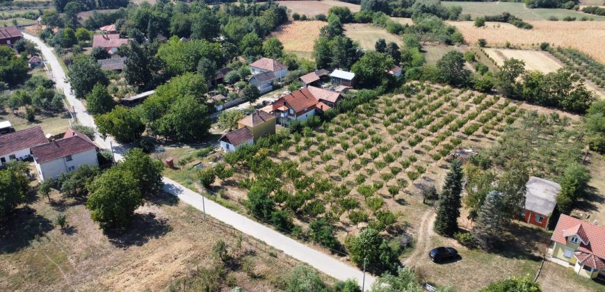 Kovačevac kuća sa vočnjakom Kajsije 72ara placa
