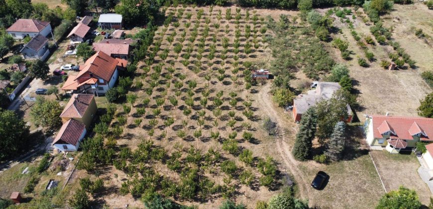 Kovačevac kuća sa vočnjakom Kajsije 72ara placa