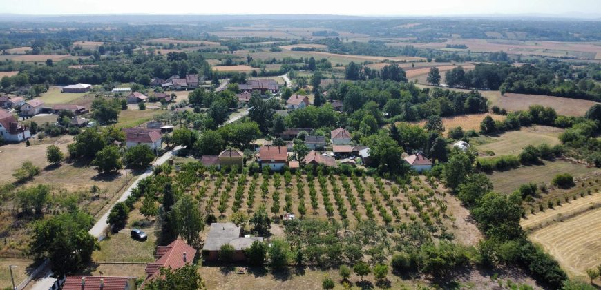 Kovačevac kuća sa vočnjakom Kajsije 72ara placa
