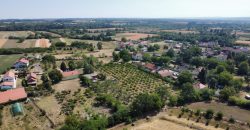 Kovačevac kuća sa vočnjakom Kajsije 72ara placa
