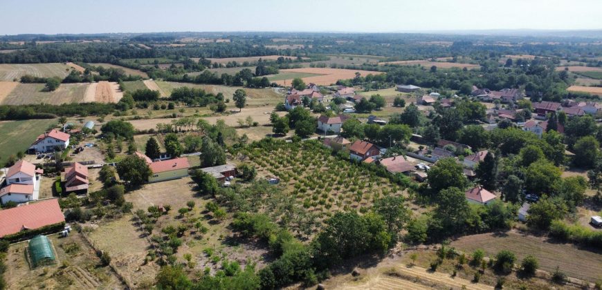 Kovačevac kuća sa vočnjakom Kajsije 72ara placa
