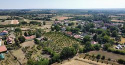 Kovačevac kuća sa vočnjakom Kajsije 72ara placa
