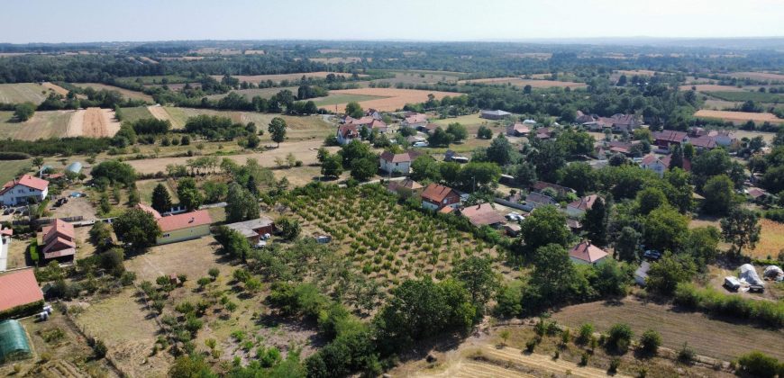 Kovačevac kuća sa vočnjakom Kajsije 72ara placa