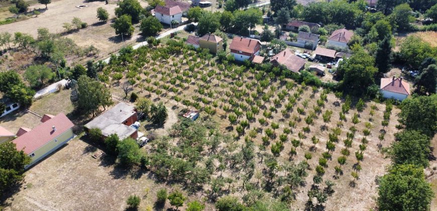 Kovačevac kuća sa vočnjakom Kajsije 72ara placa