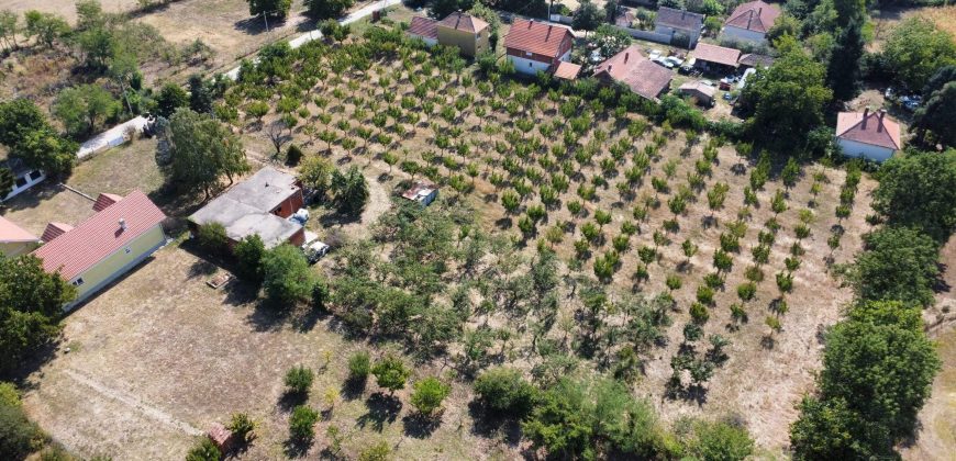 Kovačevac kuća sa vočnjakom Kajsije 72ara placa