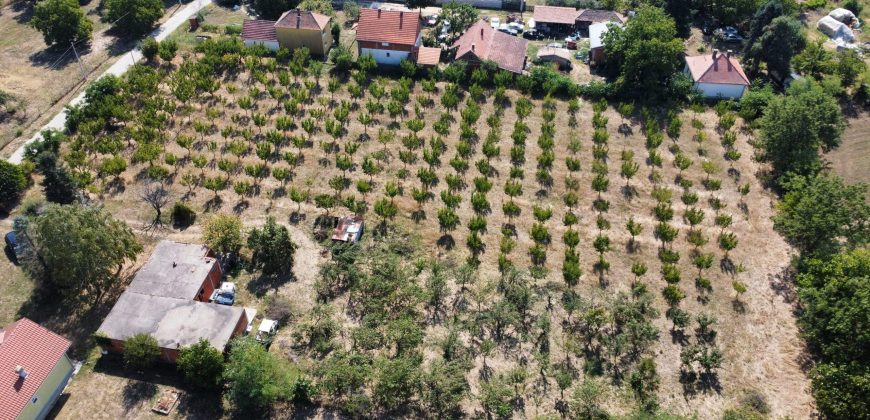 Kovačevac kuća sa vočnjakom Kajsije 72ara placa