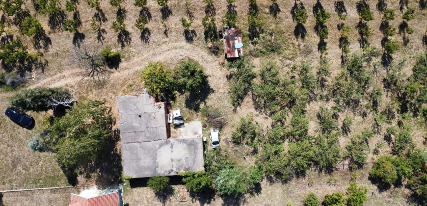 Kovačevac kuća sa vočnjakom Kajsije 72ara placa