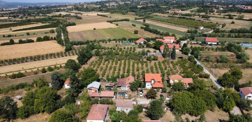 Kovačevac kuća sa vočnjakom Kajsije 72ara placa