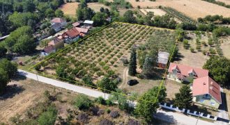 Kovačevac kuća sa vočnjakom Kajsije 72ara placa
