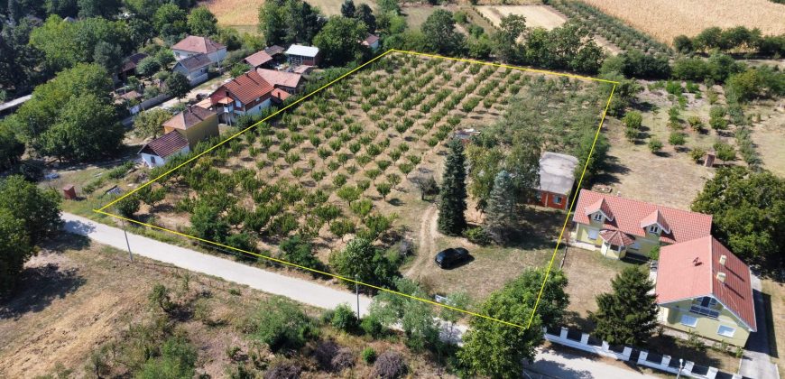 Kovačevac kuća sa vočnjakom Kajsije 72ara placa