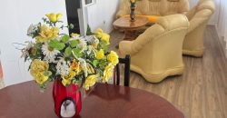 🏡 Đurinci – Sopot KUĆA 219 m² + 6 ARI | 5 spavaćih soba | 2 dnevna boravka | 120.000 €